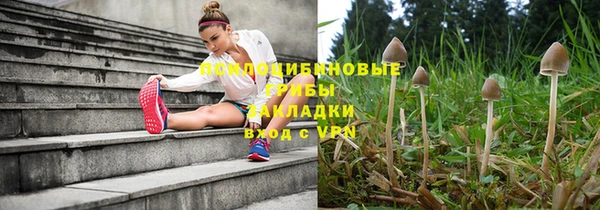 прущие грибы Армянск