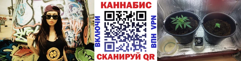 Каннабис Ganja  Черняховск 